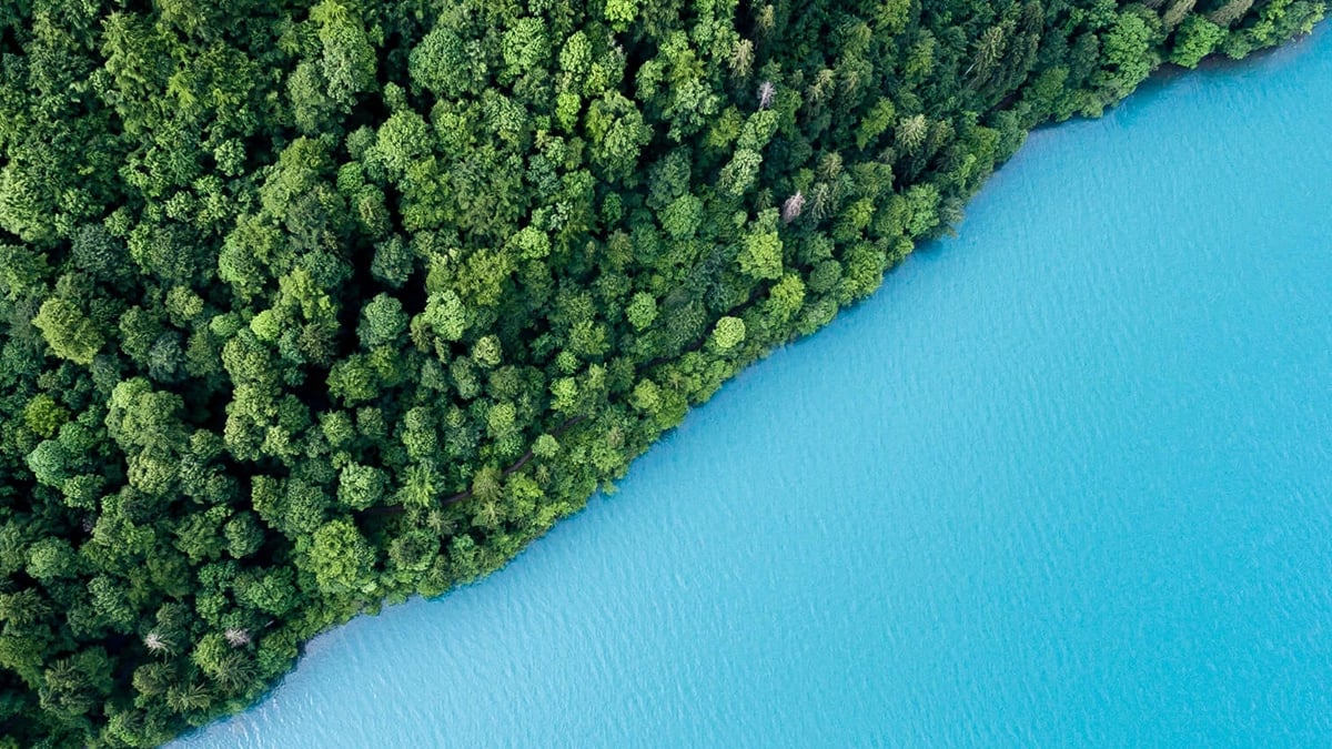 A view from above of a coastline where an ocean meets a treeline.